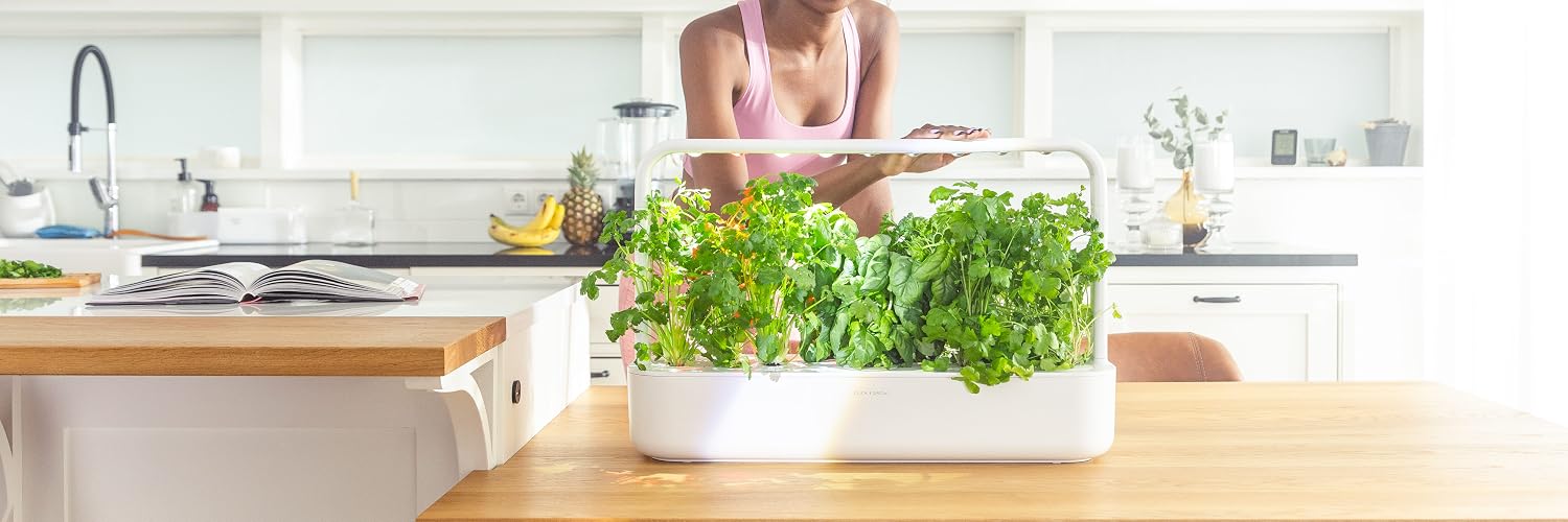 Click & Grow | The Joy of Nature for All – Hassle-Free Smart Indoor Hydroponic Gardens