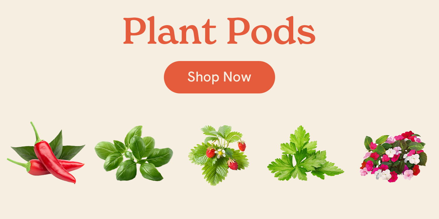 Click & Grow | The Joy of Nature for All – Hassle-Free Smart Indoor Hydroponic Gardens