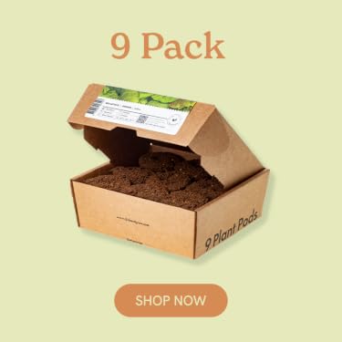 Click & Grow | The Joy of Nature for All – Hassle-Free Smart Indoor Hydroponic Gardens