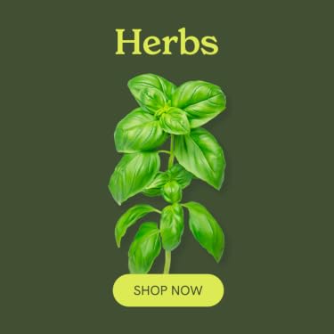 Click & Grow | The Joy of Nature for All – Hassle-Free Smart Indoor Hydroponic Gardens