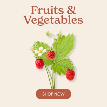 Click & Grow | The Joy of Nature for All – Hassle-Free Smart Indoor Hydroponic Gardens